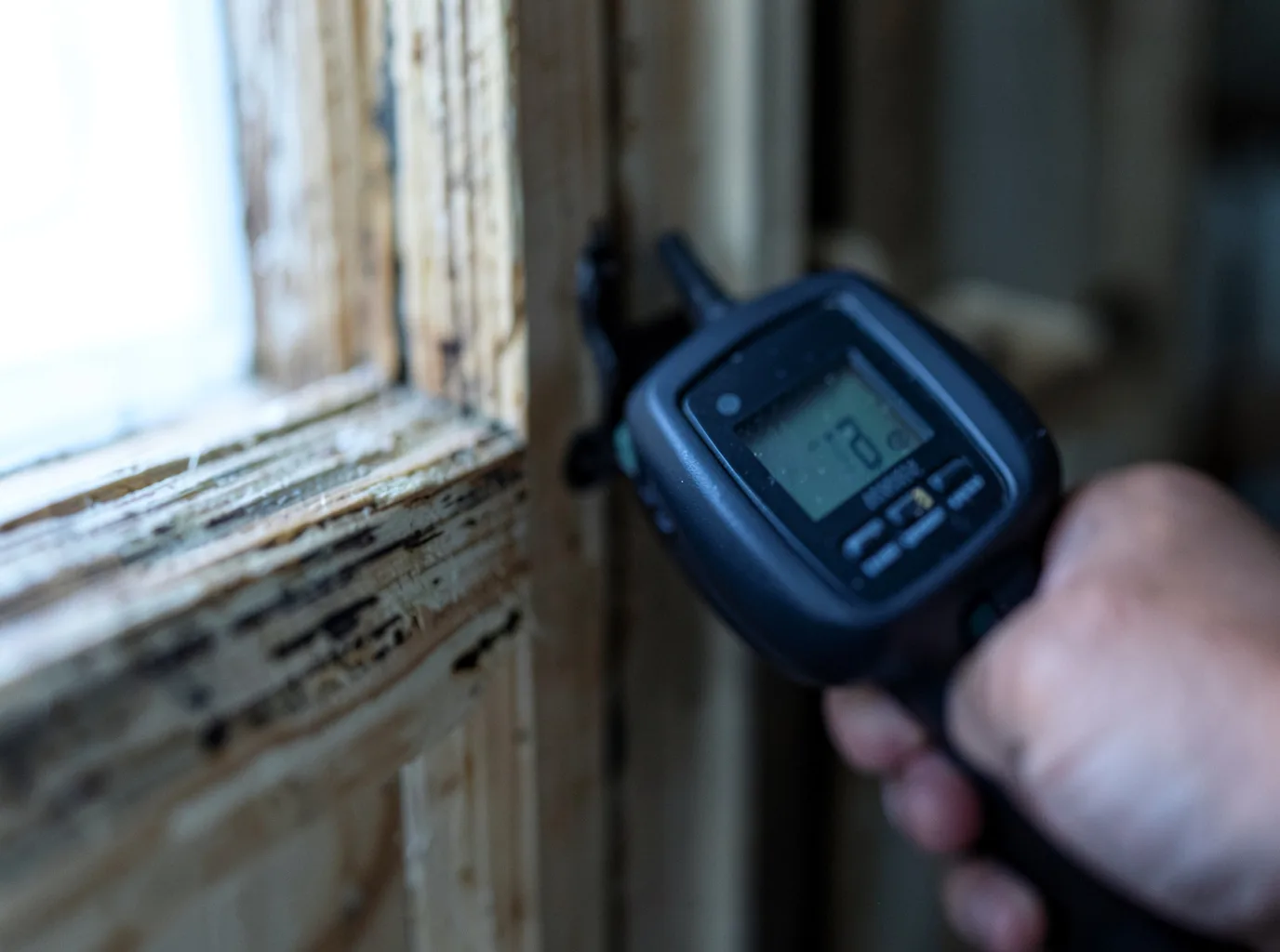 Moisture Inspection And Documentation in Tripoli, IA